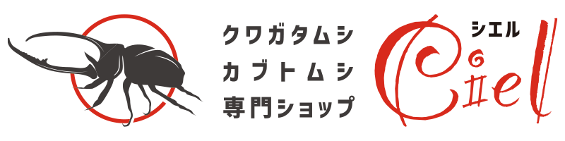 クワガタムシ・カブトムシ専門ショップ CIEL（シエル）
